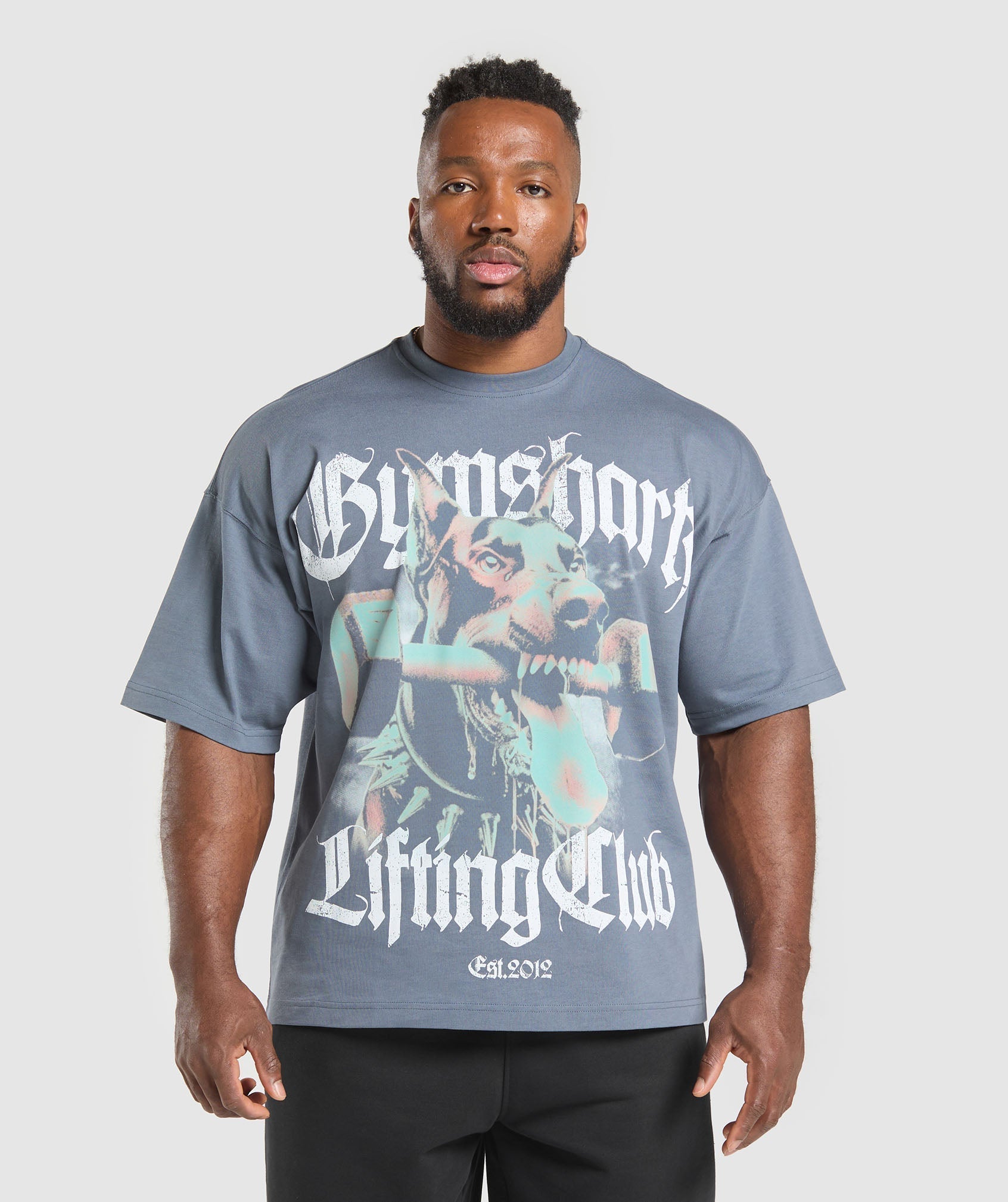 Gymshark Doberman Graphic T-Shirt - Iron Blue