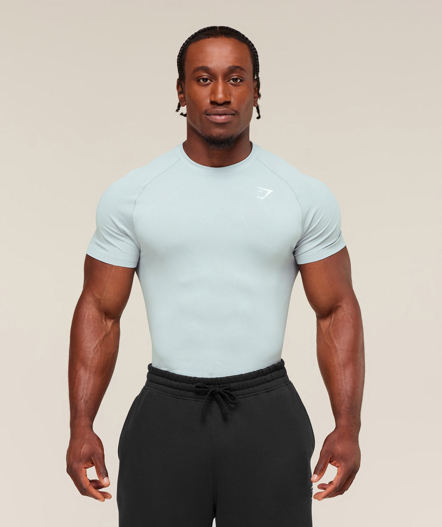 Gymshark Geo Seamless T-Shirt - Smoke Blue/Soft White