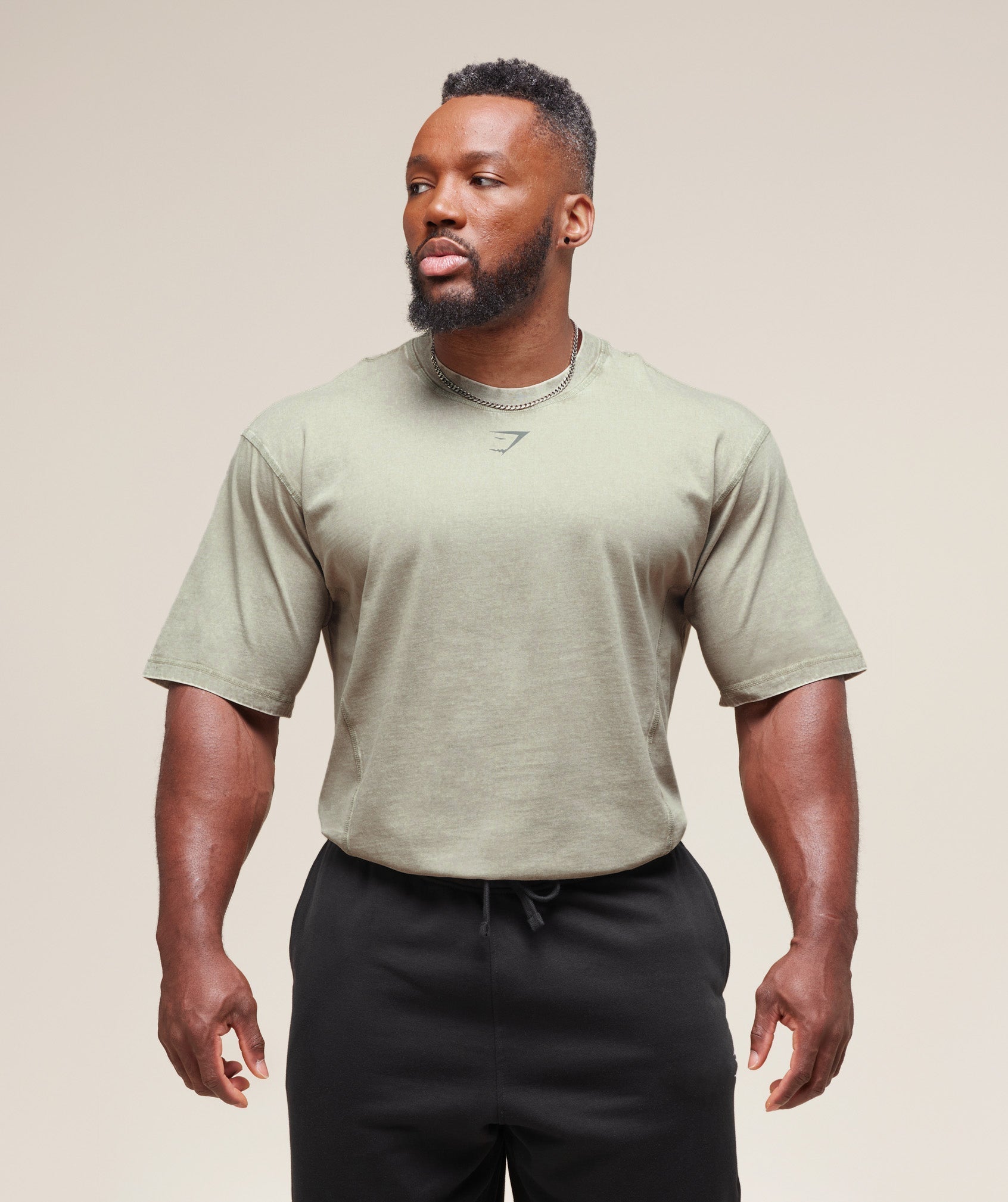 Gymshark Heritage Washed T-Shirt - Stone Grey