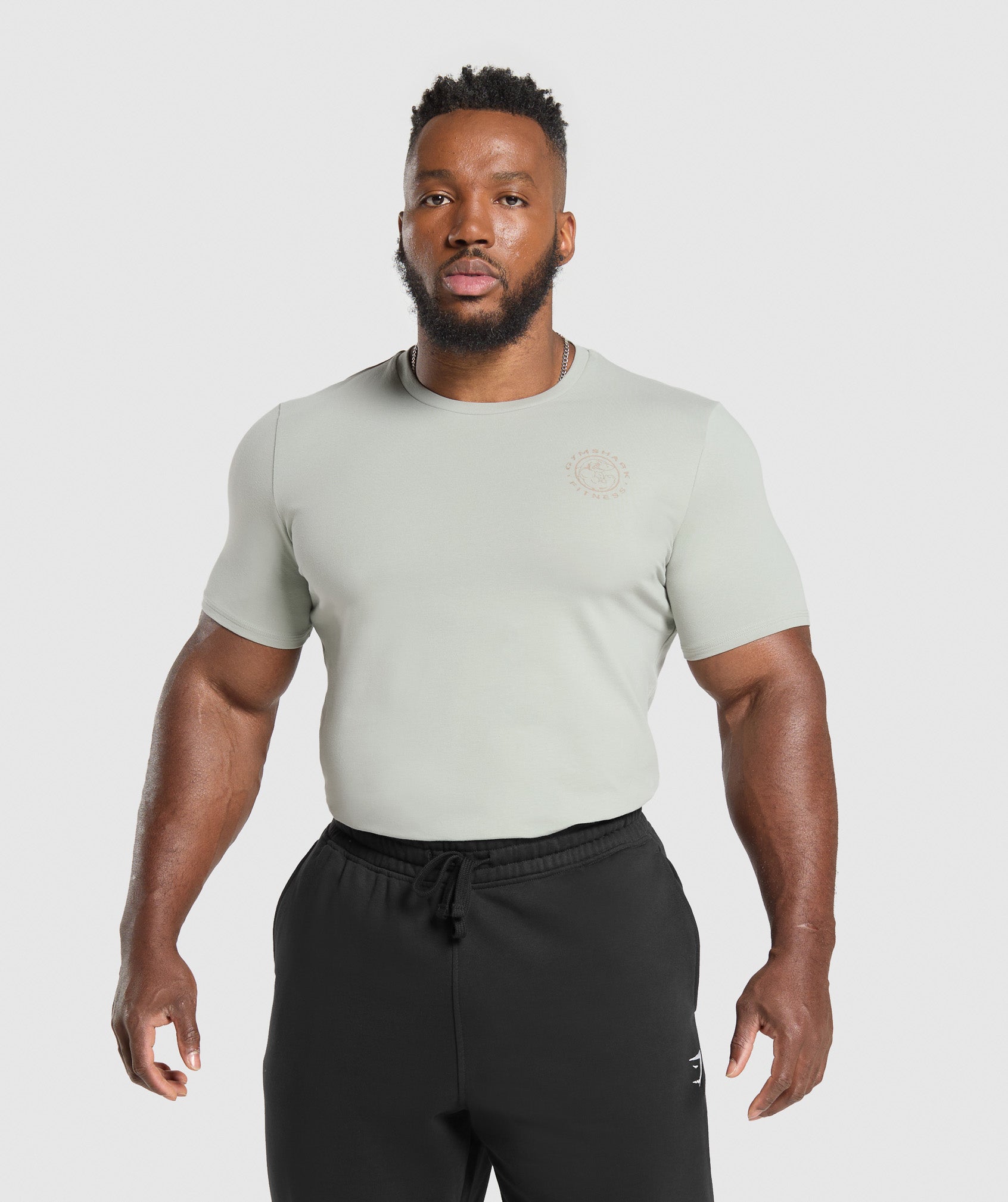 Gymshark Legacy T-Shirt - Stone Grey