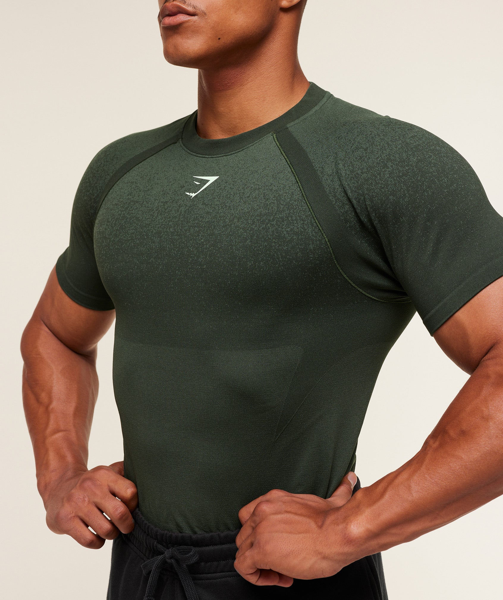 Gymshark Shadow Seamless T Shirt - Trail Green