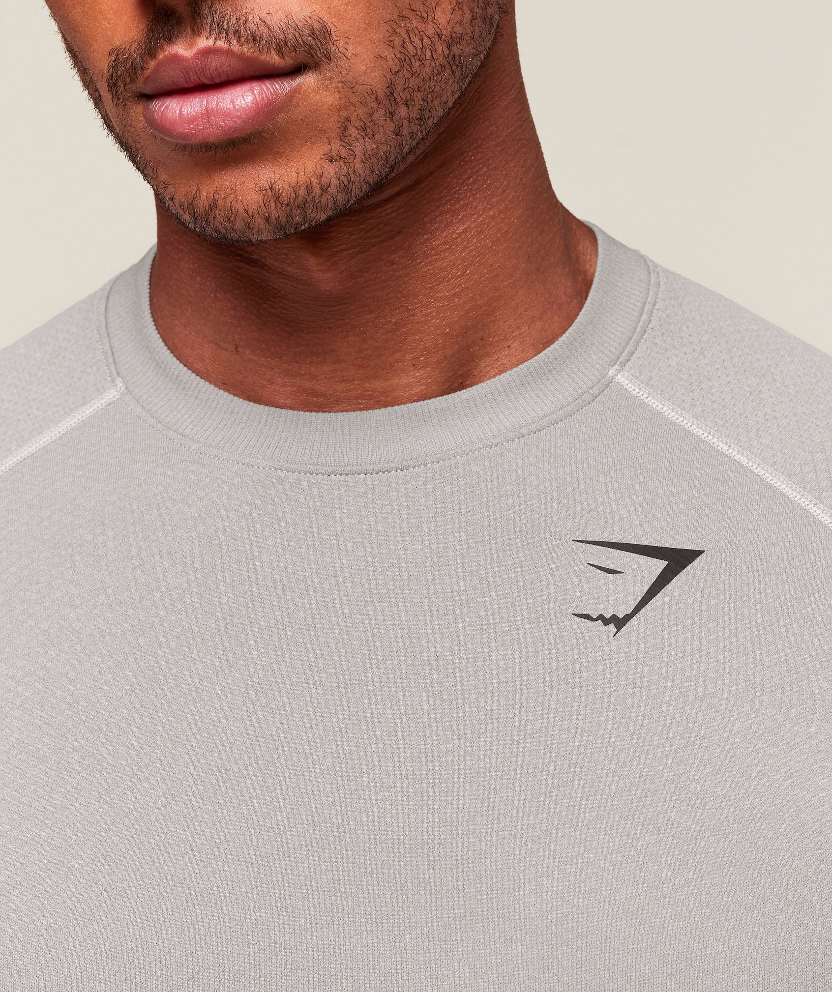 Gymshark Vital Seamless T-Shirt - Light Grey/Smokey Grey